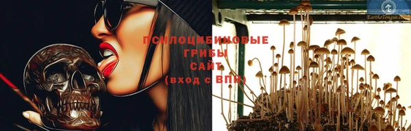 прущие грибы Беломорск