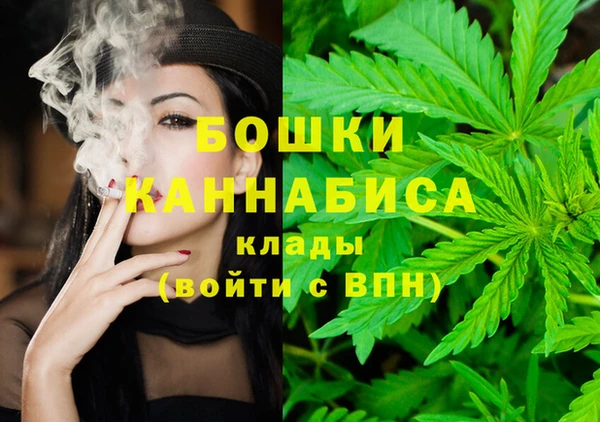 прущие грибы Беломорск
