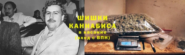 прущие грибы Беломорск