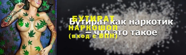 прущие грибы Беломорск
