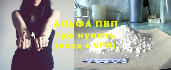 прущие грибы Беломорск