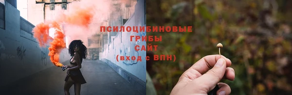 прущие грибы Беломорск