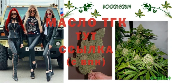 прущие грибы Беломорск