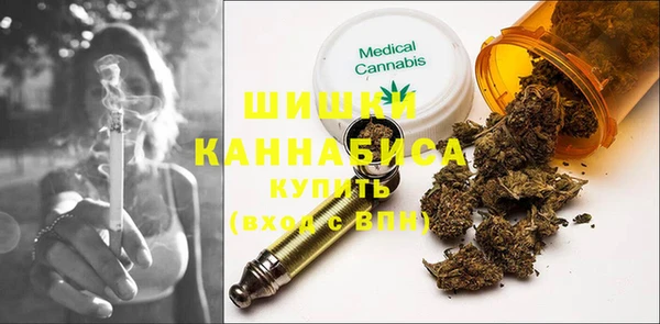 прущие грибы Беломорск