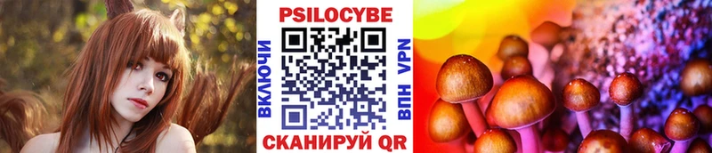 купить наркотик  сайты даркнета клад  Галлюциногенные грибы Psilocybine cubensis  Великий Устюг 